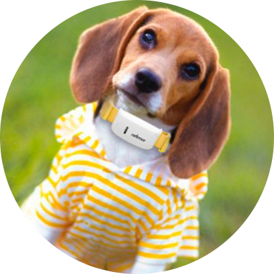 Pet shops software development