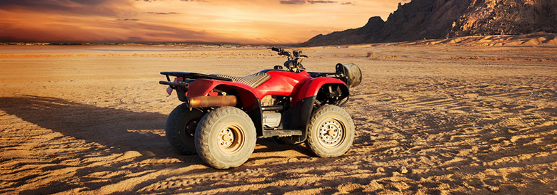 Quad Bike Into the Desert